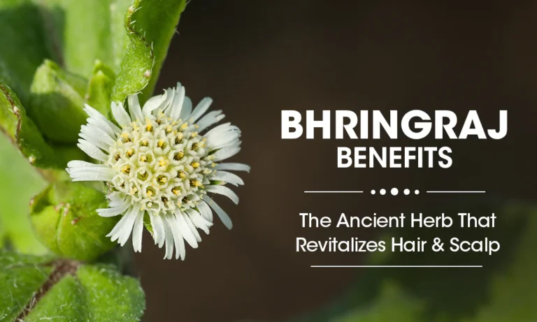 Bhringraj – The “King of Herbs” for Hair Growth